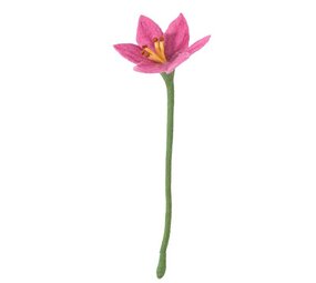 Aveva Design Aveva design - bloem lily - pink Aveva Design Aveva design - bloem lily - pink