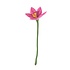 Aveva design - bloem lily - pink Aveva design - bloem lily - pink