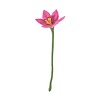 Aveva Design Aveva design - bloem lily - pink Aveva Design Aveva design - bloem lily - pink