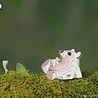 Eugy Eugy - 3d model - ijsbeer (nr 052) Eugy Eugy - 3d model - ijsbeer (nr 052)