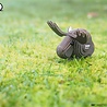 Eugy Eugy - 3d model - eland (nr 042) Eugy Eugy - 3d model - eland (nr 042)