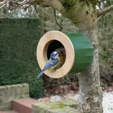 Heeej! Heeej! - vogelhuis/voeder wand - cactus