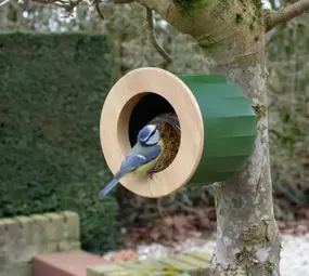 Heeej! Heeej! - vogelhuis/voeder wand - cactus