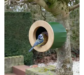 Heeej! Heeej! - vogelhuis/voeder wand - cactus
