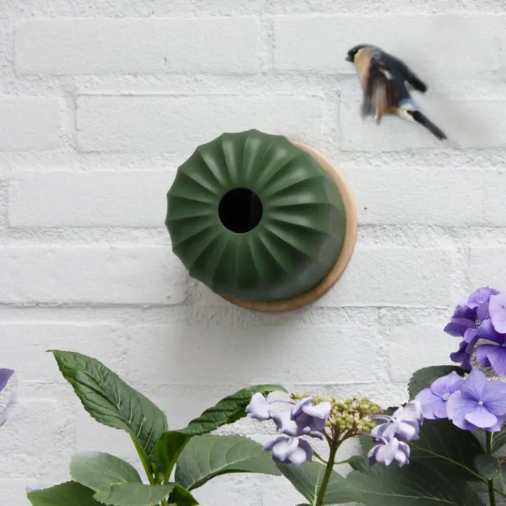 Heeej! Heeej! - vogelvoeder wand - cactus Heeej! Heeej! - vogelvoeder wand - cactus