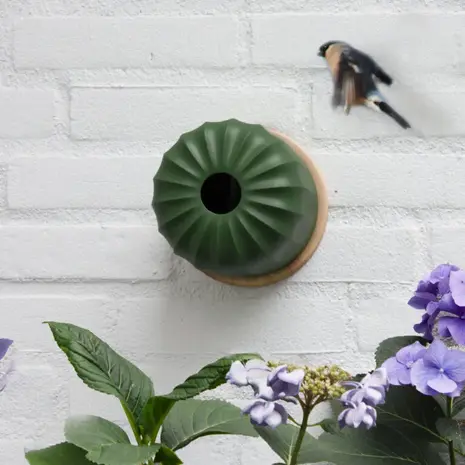 Heeej! Heeej! - vogelvoeder wand - cactus Heeej! Heeej! - vogelvoeder wand - cactus