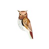 Studio Roof Studio Roof - muurdecoratie tuinvogels - tawny owl Studio Roof Studio Roof - muurdecoratie tuinvogels - tawny owl