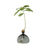 Ilex Studio Ilex Studio - acorn vase - smoke grey Ilex Studio Ilex Studio - acorn vase - smoke grey