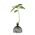 Ilex Studio - acorn vase - smoke grey Ilex Studio - acorn vase - smoke grey