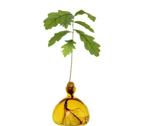 Ilex Studio Ilex Studio - acorn vase - mellow yellow