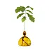 Ilex Studio - acorn vase - mellow yellow Ilex Studio - acorn vase - mellow yellow