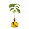 Ilex Studio Ilex Studio - acorn vase - mellow yellow Ilex Studio Ilex Studio - acorn vase - mellow yellow
