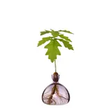 Ilex Studio Ilex Studio - acorn vase - spring lilac Ilex Studio Ilex Studio - acorn vase - spring lilac