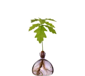 Ilex Studio Ilex Studio - acorn vase - spring lilac