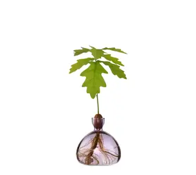 Ilex Studio Ilex Studio - acorn vase - spring lilac Ilex Studio Ilex Studio - acorn vase - spring lilac