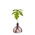 Ilex Studio - acorn vase - spring lilac Ilex Studio - acorn vase - spring lilac
