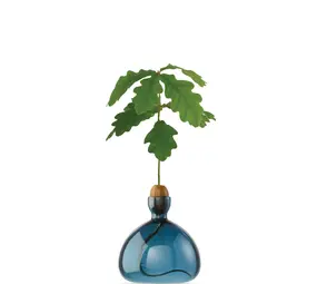 Ilex Studio Ilex Studio - acorn vase - blue jay Ilex Studio Ilex Studio - acorn vase - blue jay