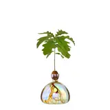 Ilex Studio Ilex Studio - acorn vase - cosmic astra