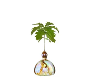 Ilex Studio Ilex Studio - acorn vase - cosmic astra Ilex Studio Ilex Studio - acorn vase - cosmic astra