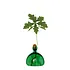 Ilex Studio - acorn vase - emerald green Ilex Studio - acorn vase - emerald green