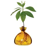 Ilex Studio Ilex Studio - avocado vase - mellow yellow Ilex Studio Ilex Studio - avocado vase - mellow yellow