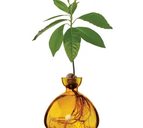 Ilex Studio Ilex Studio - avocado vase - mellow yellow