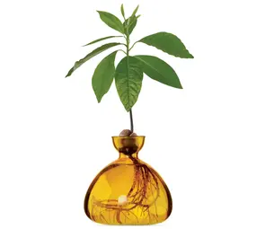 Ilex Studio Ilex Studio - avocado vase - mellow yellow