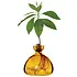 Ilex Studio - avocado vase - mellow yellow Ilex Studio - avocado vase - mellow yellow