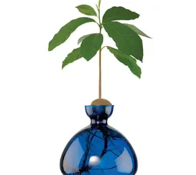 Ilex Studio Ilex Studio - avocado vase - blue jay