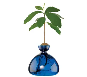 Ilex Studio Ilex Studio - avocado vase - blue jay