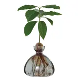 Ilex Studio Ilex Studio - avocado vase - smoke grey Ilex Studio Ilex Studio - avocado vase - smoke grey