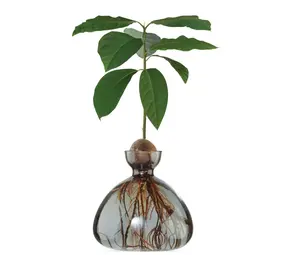 Ilex Studio Ilex Studio - avocado vase - smoke grey