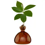 Ilex Studio Ilex Studio - avocado vase - russet brown Ilex Studio Ilex Studio - avocado vase - russet brown