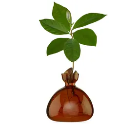 Ilex Studio Ilex Studio - avocado vase - russet brown Ilex Studio Ilex Studio - avocado vase - russet brown