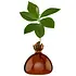 Ilex Studio - avocado vase - russet brown Ilex Studio - avocado vase - russet brown