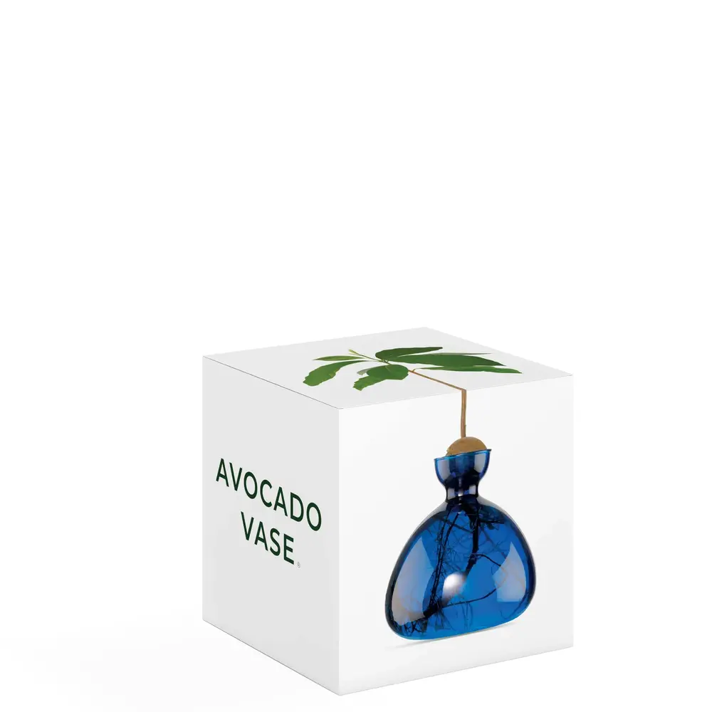 Ilex Studio Ilex Studio - avocado vase - blue jay