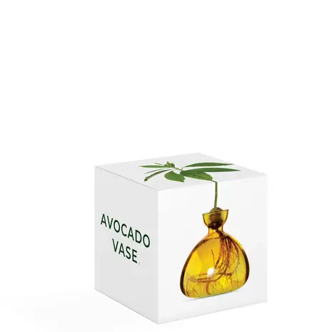 Ilex Studio Ilex Studio - avocado vase - mellow yellow
