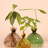 Ilex Studio Ilex Studio - avocado vase - russet brown Ilex Studio Ilex Studio - avocado vase - russet brown