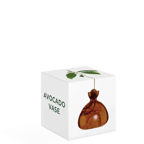 Ilex Studio Ilex Studio - avocado vase - russet brown Ilex Studio Ilex Studio - avocado vase - russet brown