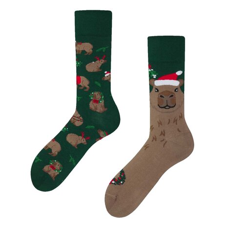 Many mornings Many mornings - sokken - merrybara Many mornings Many mornings - sokken - merrybara