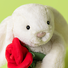 Jellycat Jellycat - knuffel konijn - cream bunny with rose Jellycat Jellycat - knuffel konijn - cream bunny with rose