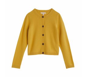 Seasalt Seasalt - tern tide cardigan - siskin