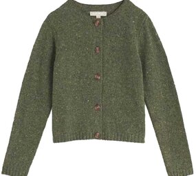 Seasalt Seasalt - dawson pick cardigan merino - alpine