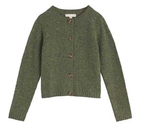 Seasalt Seasalt - dawson pick cardigan merino - alpine