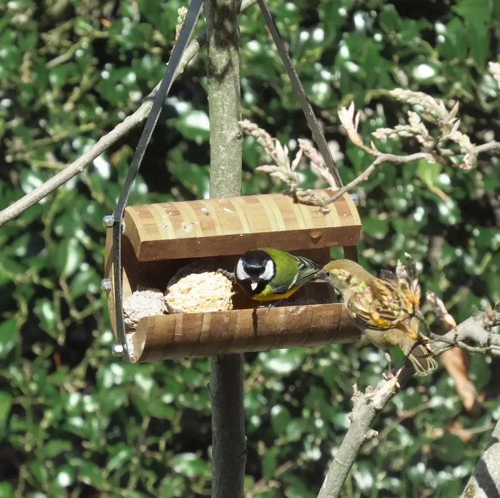 Heeej! Heeej! - vetbolhouder hangend - ballroom bamboe Heeej! Heeej! - vetbolhouder hangend - ballroom bamboe