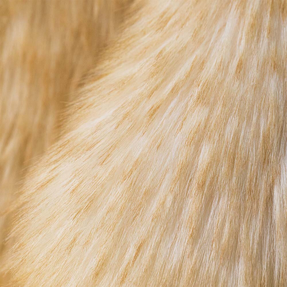 Jellycat Jellycat - knuffel konijn - springlowe luxe bunny (big)