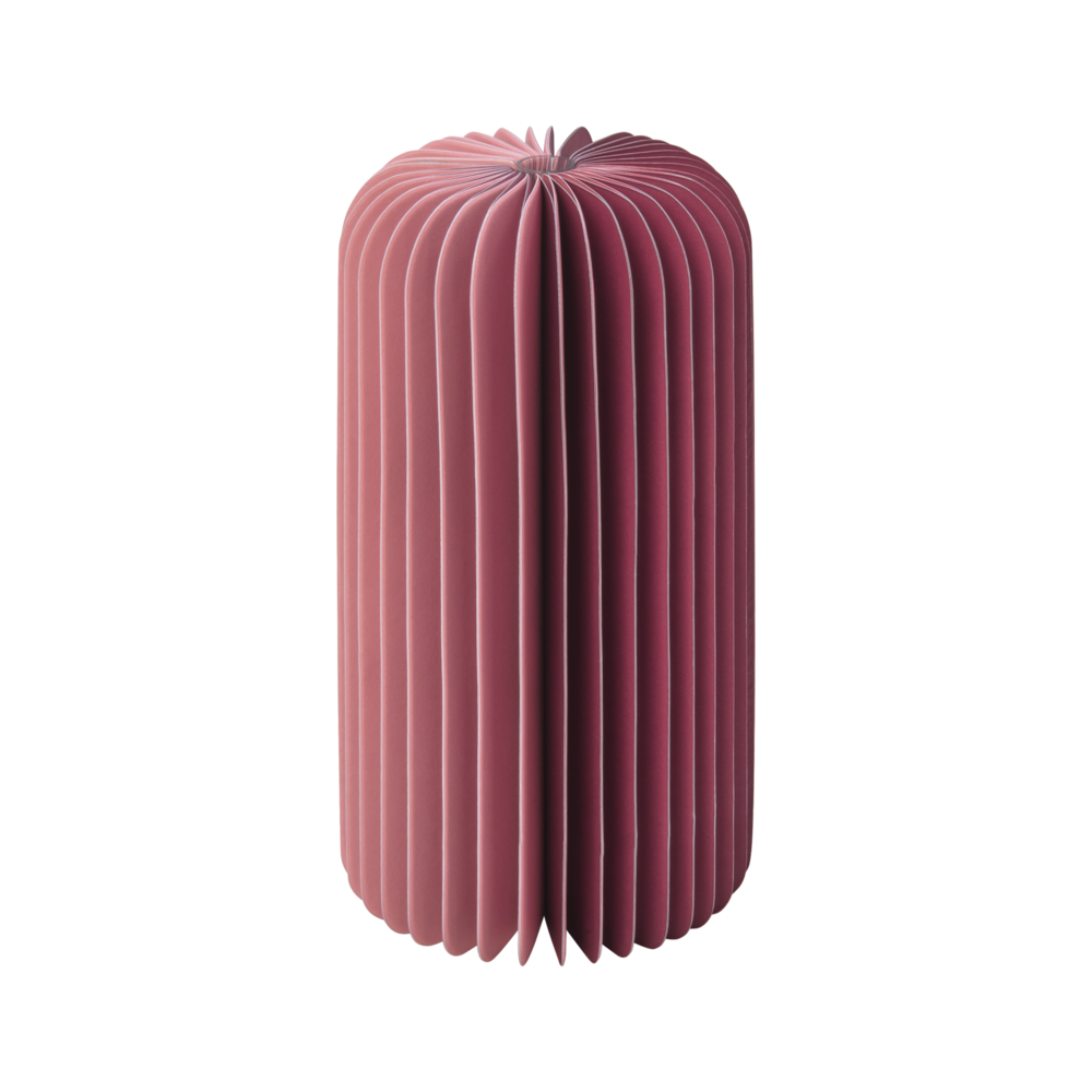 Remember Remember - papieren vaas - yuki berry