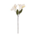 Sjaal met verhaal Sjaal met verhaal - bloem lelie - wit-geel