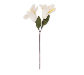 Sjaal met verhaal Sjaal met verhaal - bloem lelie - wit-geel