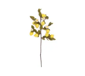 Sjaal met verhaal Sjaal met verhaal - tak - citroen